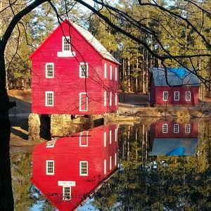 Meet your Posher, Cathy